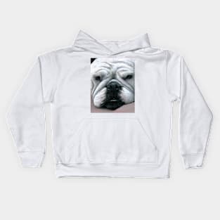 Dog 118 English Bulldog Kids Hoodie